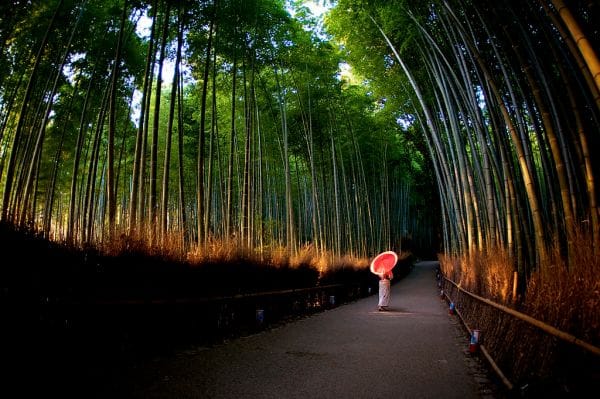 Arashiyama Bamboo Grove