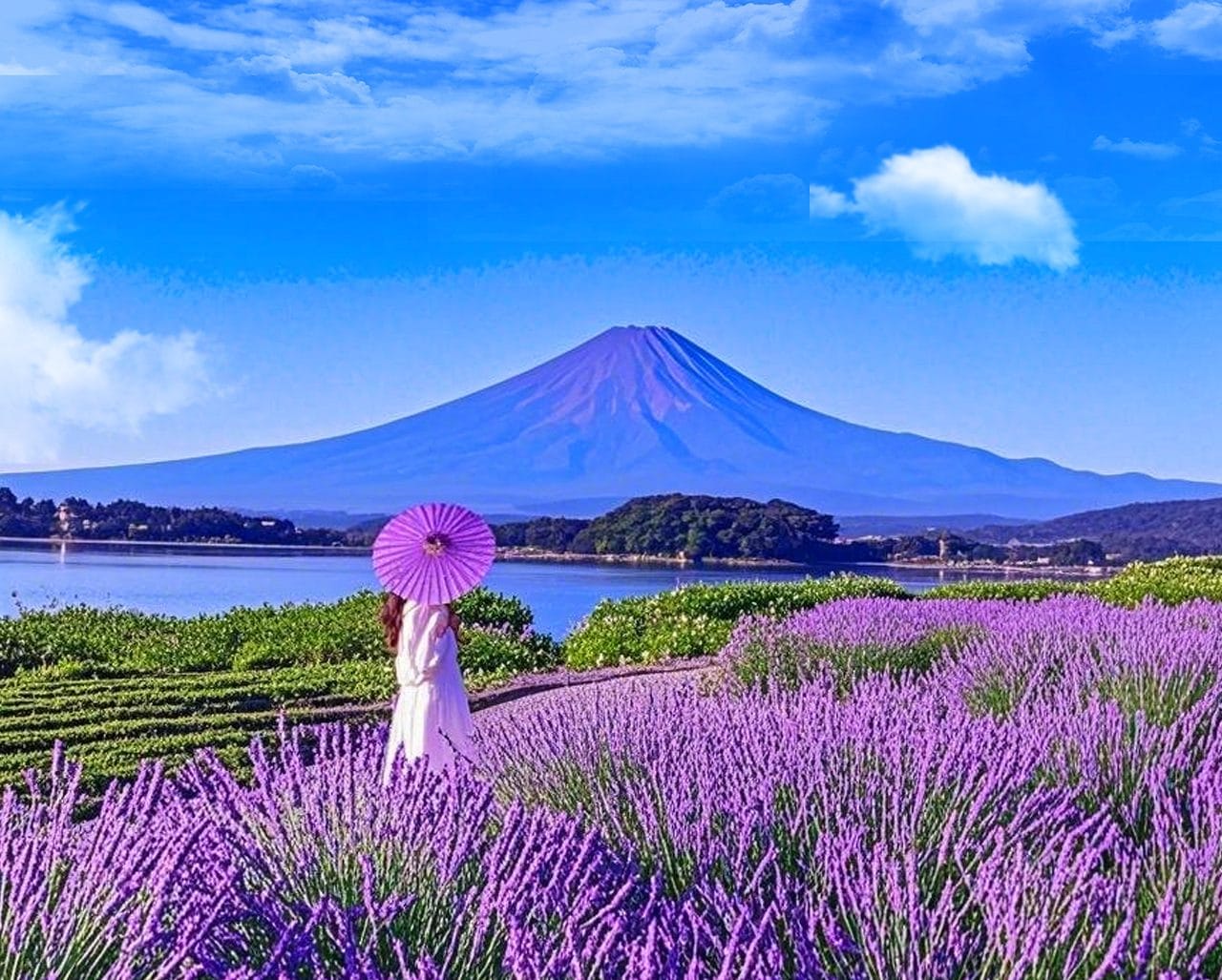 Fuji Five Lakes Saiko Iyashi No Sato Nenba Day Tour