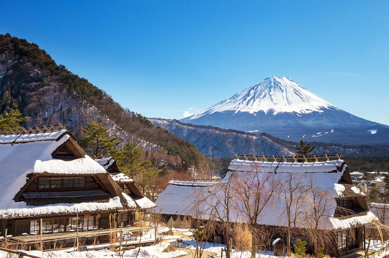 Fuji Five Lakes Saiko Iyashi No Sato Nenba Day Tour — OlaChill day tour