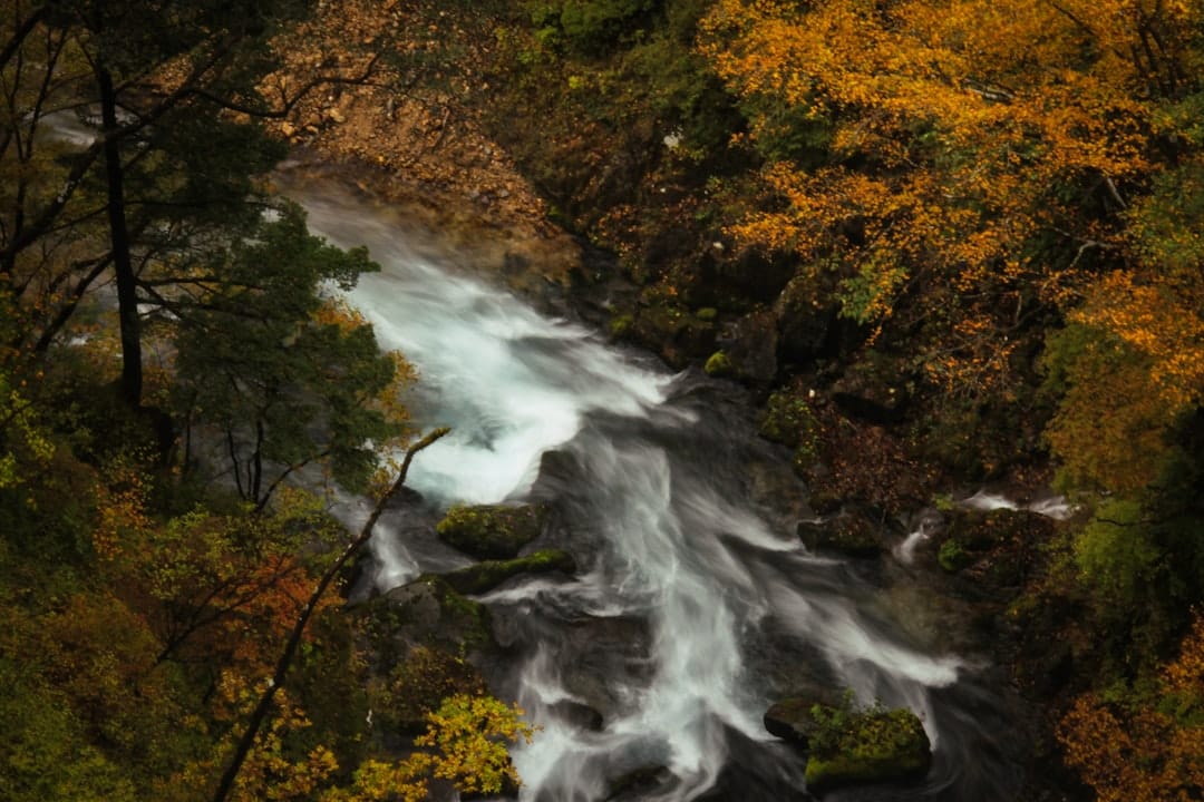 Nikko Kegon Falls · 50 min