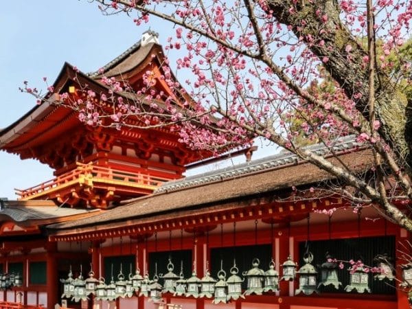 Day trip to Kyoto and Nara