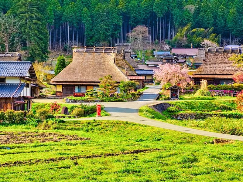 Miyama, Katsuo-ji Temple, Arashiyama Day Tour — OlaChill day tour