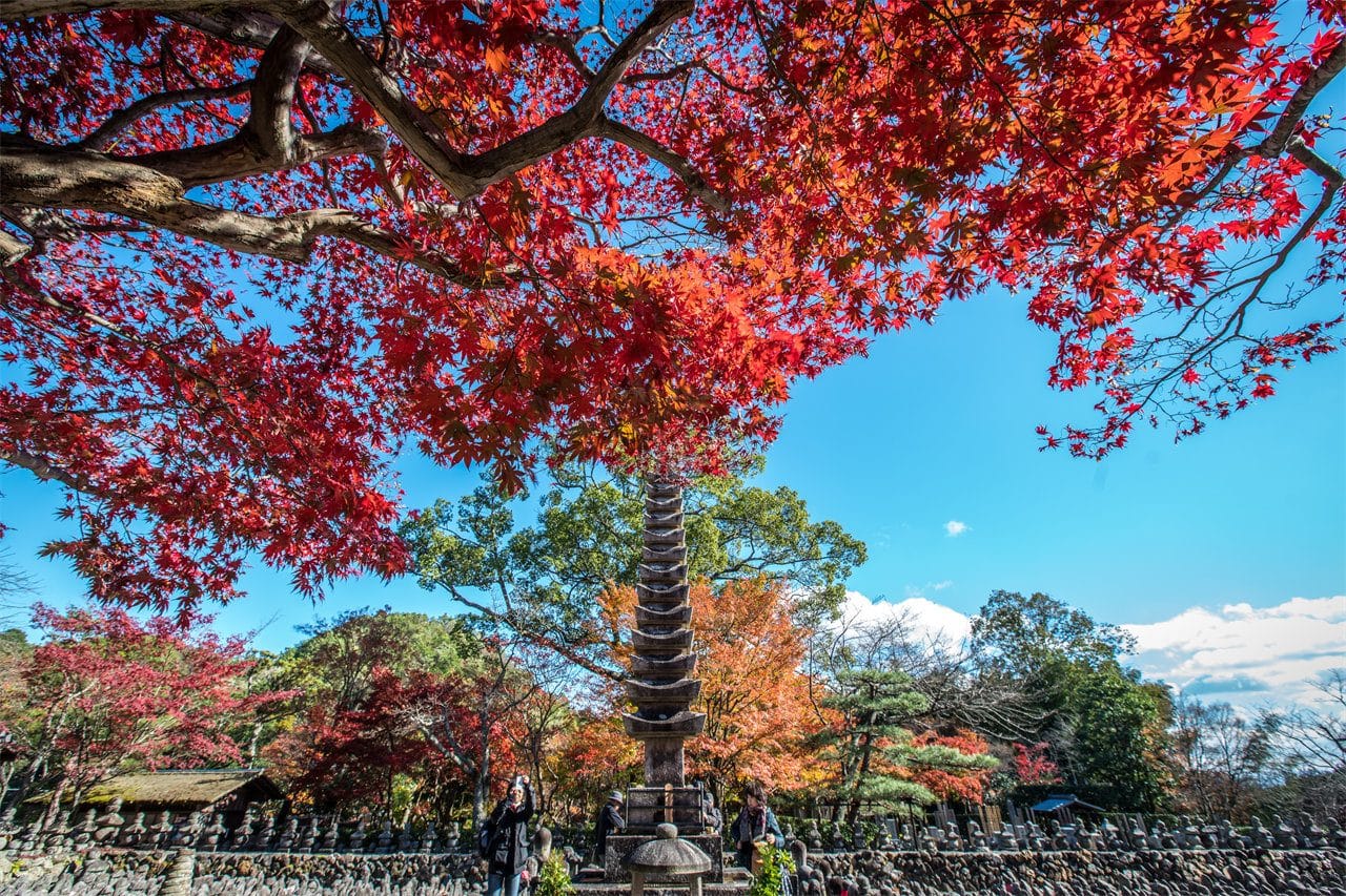 Miyama, Katsuo-ji Temple, Arashiyama Day Tour