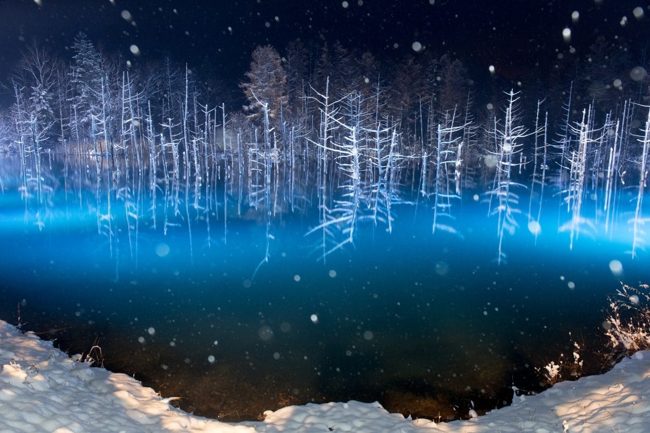 Hokkaido Zoo, Shikisai-no-Oka Snow Play, and Ningle Terrace Day Tour — OlaChill day tour
