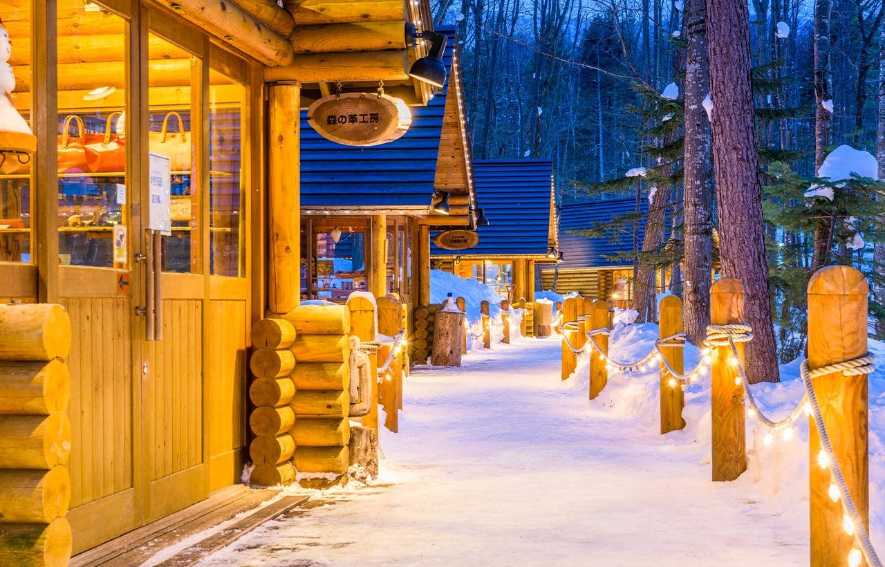 Hokkaido Zoo, Shikisai-no-Oka Snow Play, and Ningle Terrace Day Tour