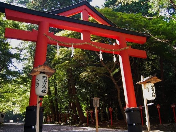 Miho Museum & Lake Biwa Floating Torii Day Tour