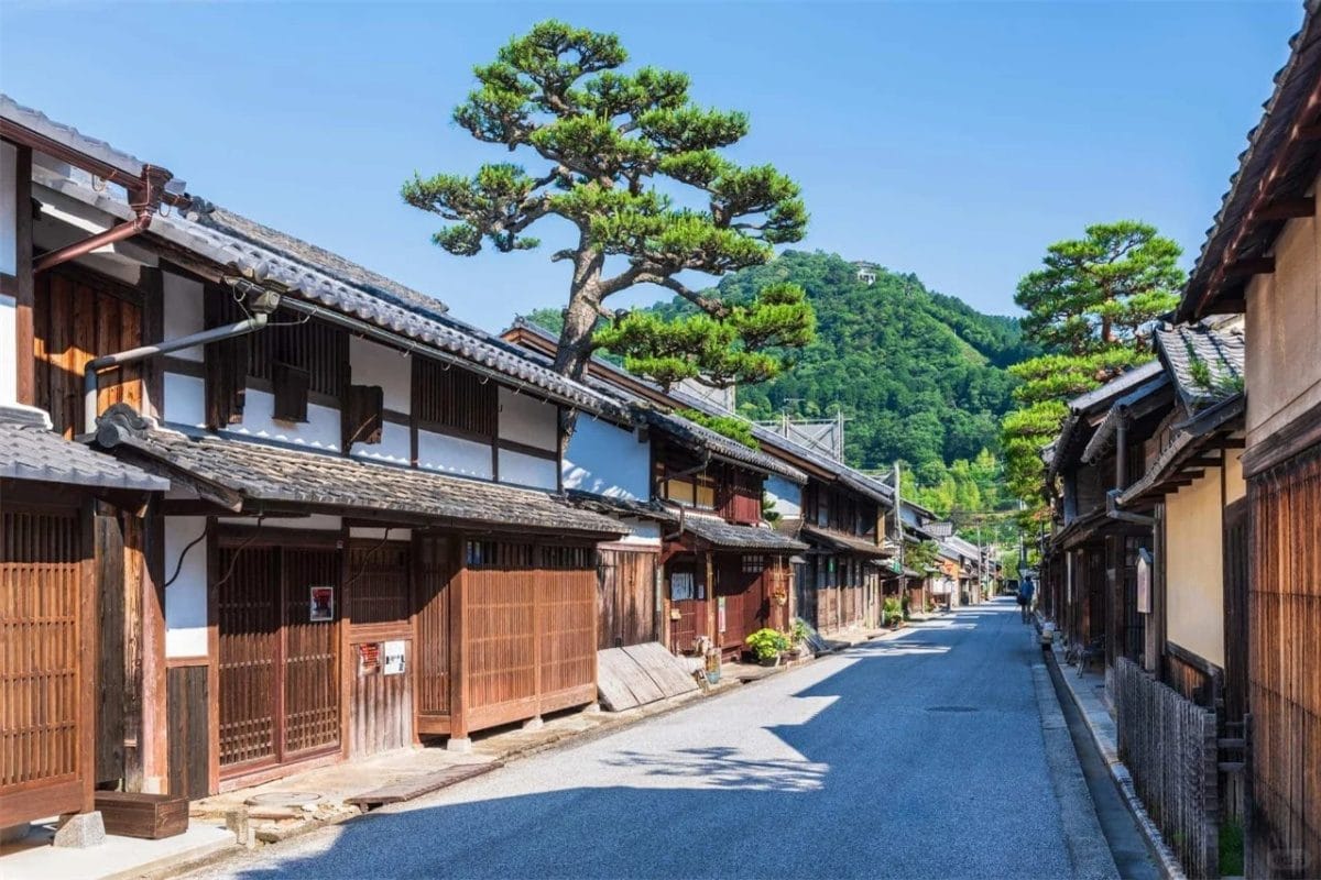 One-day tour to Lake Biwa Observatory, Shirahige Shrine, and Ukimido