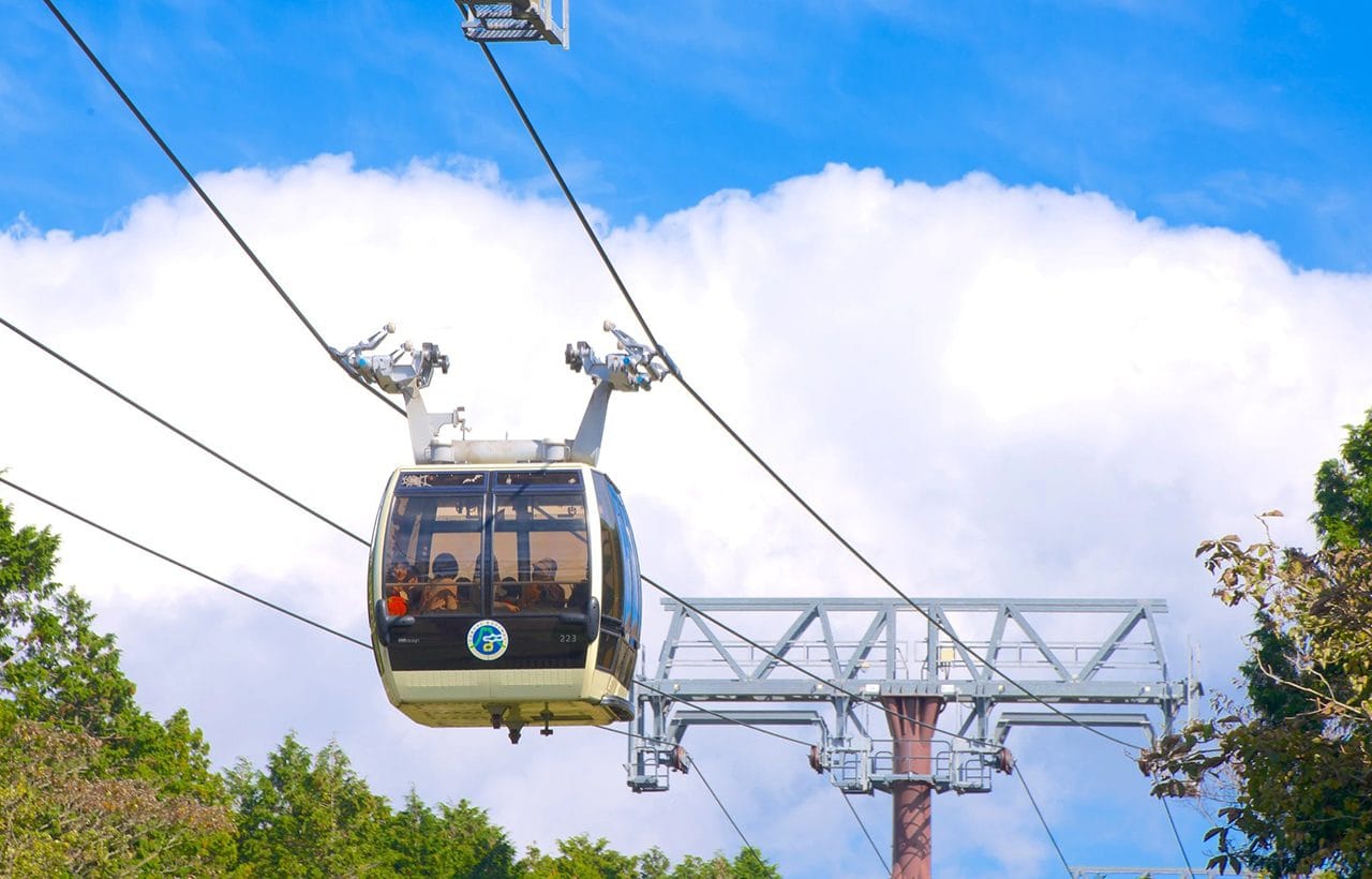 Owakudani Hakone Day Tour