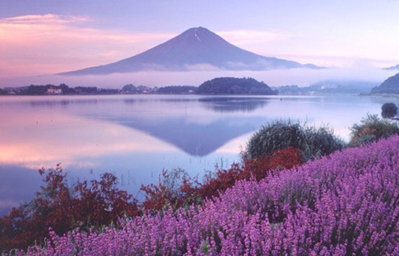 Mount Fuji & Lake Yamanaka KABA Amphibious Bus Day Tour