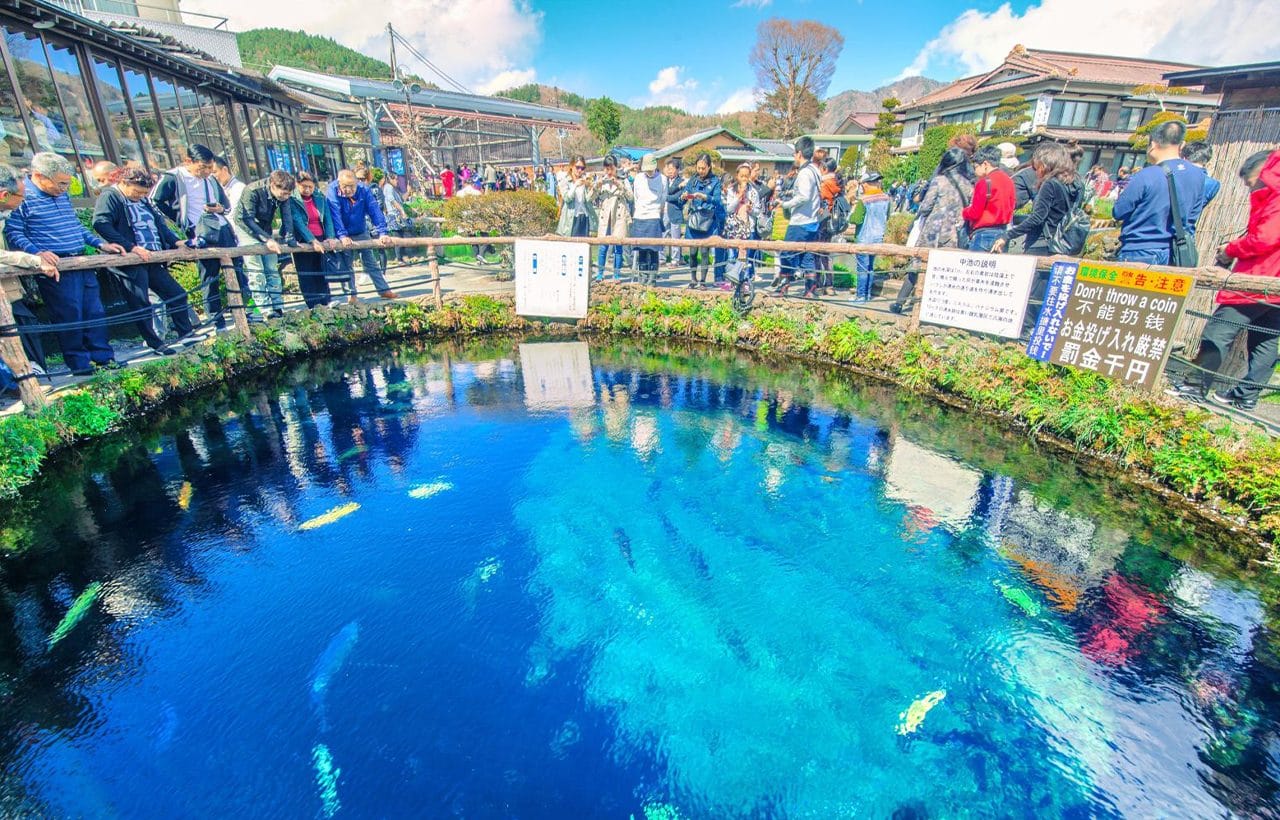 Mount Fuji & Lake Yamanaka KABA Amphibious Bus Day Tour
