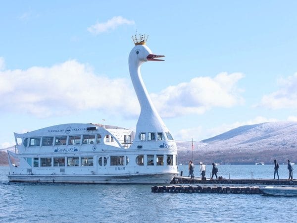 Fuji Twin Lakes & Onsen Day Tour — OlaChill day tour