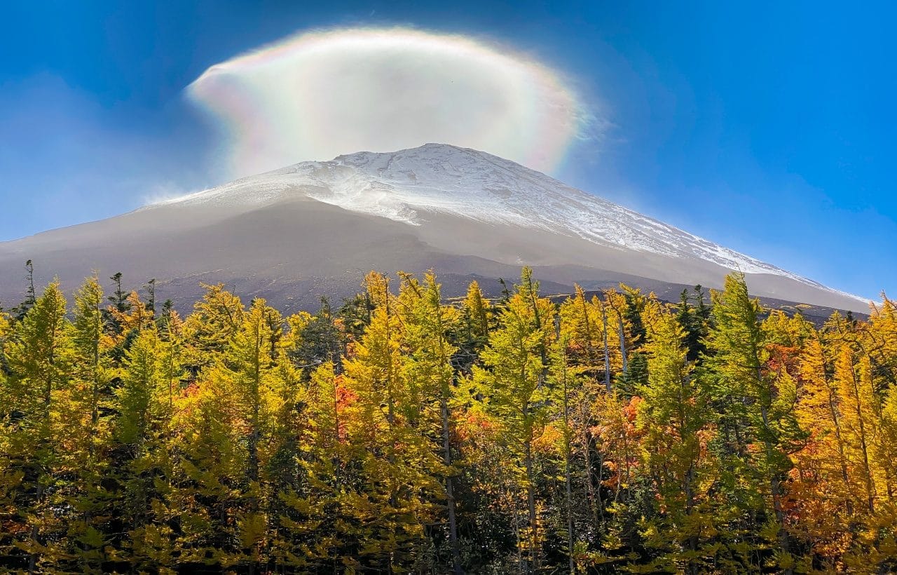 Fuji Twin Lakes & Onsen Day Tour
