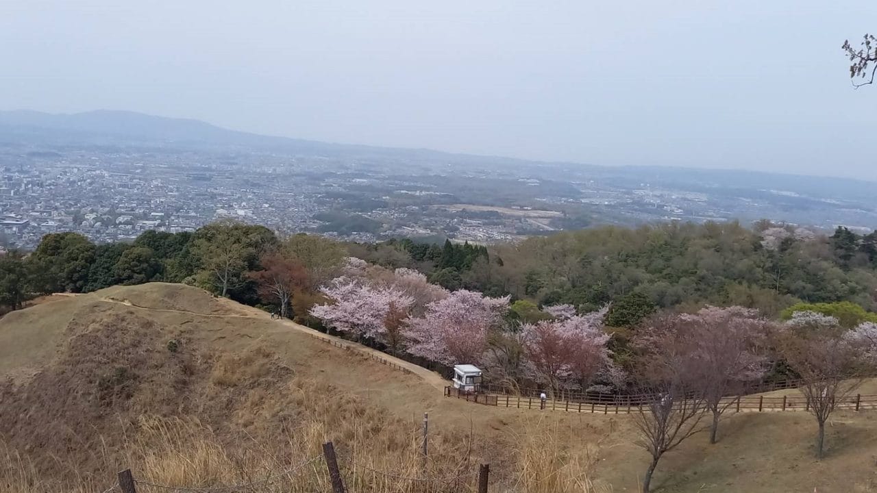 Osaka Ikoma Sky Bicycle & Nara Park Day Tour