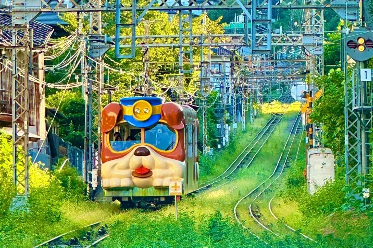 Osaka Ikoma Sky Bicycle & Nara Park Day Tour — OlaChill day tour