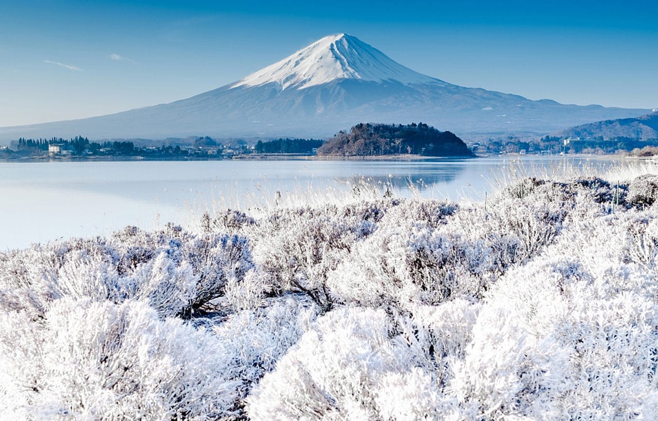 Suntory Whisky Tasting Day Tour: Hakushu Distillery & Fuji-san Spirit Experience