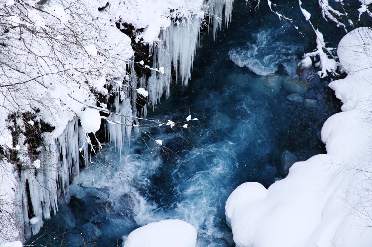 Hokkaido Zoo, Blue Pond, Shirahige Falls, and Instagram-famous Christmas Tree Day Tour