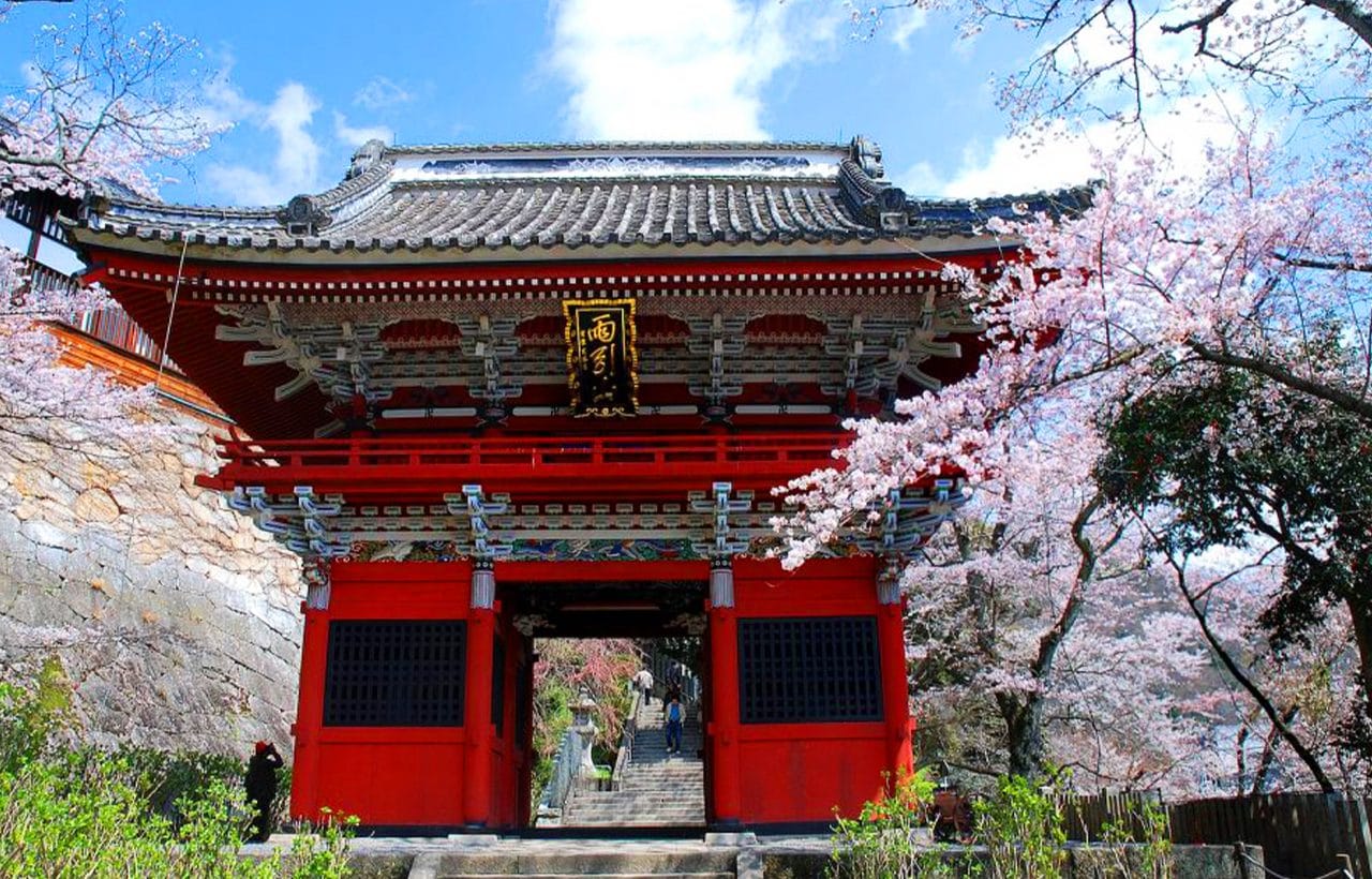 Amebiki Kannon & Hitachi Sakura Festival & Sea Sunset Day Tour