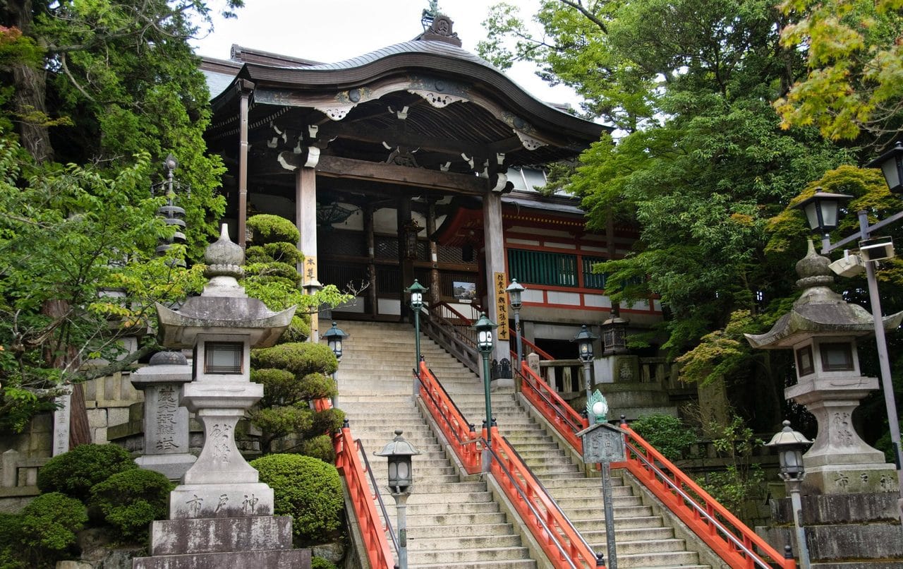 Osaka Kokubun-ji Temple, Matazaemon Cherry Tree, Nara Park & Kasuga Taisha Day Tour