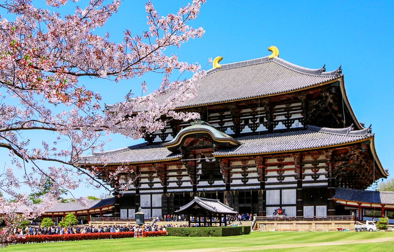 Osaka Kokubun-ji Temple, Matazaemon Cherry Tree, Nara Park & Kasuga Taisha Day Tour