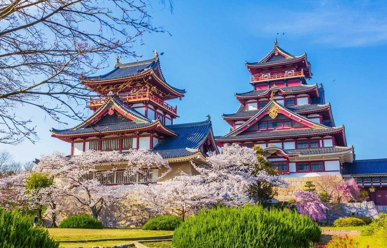 Kyoto Fushimi Momoyama Castle, Jukkoku Boat, Sewari Embankment & Ninnaji Omuro Sakura Day Tour