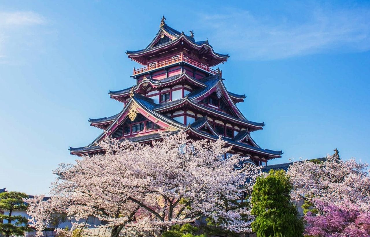 Kyoto Fushimi Momoyama Castle, Jukkoku Boat, Sewari Embankment & Ninnaji Omuro Sakura Day Tour