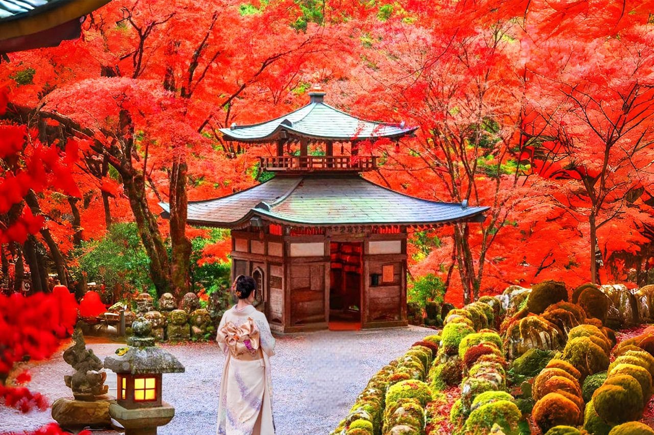 Osaka Katsuo-ji Temple & Otagi Nenbutsu-ji Temple & Arashiyama Walking Day Tour (Spirited Away Inspired) — OlaChill day tour