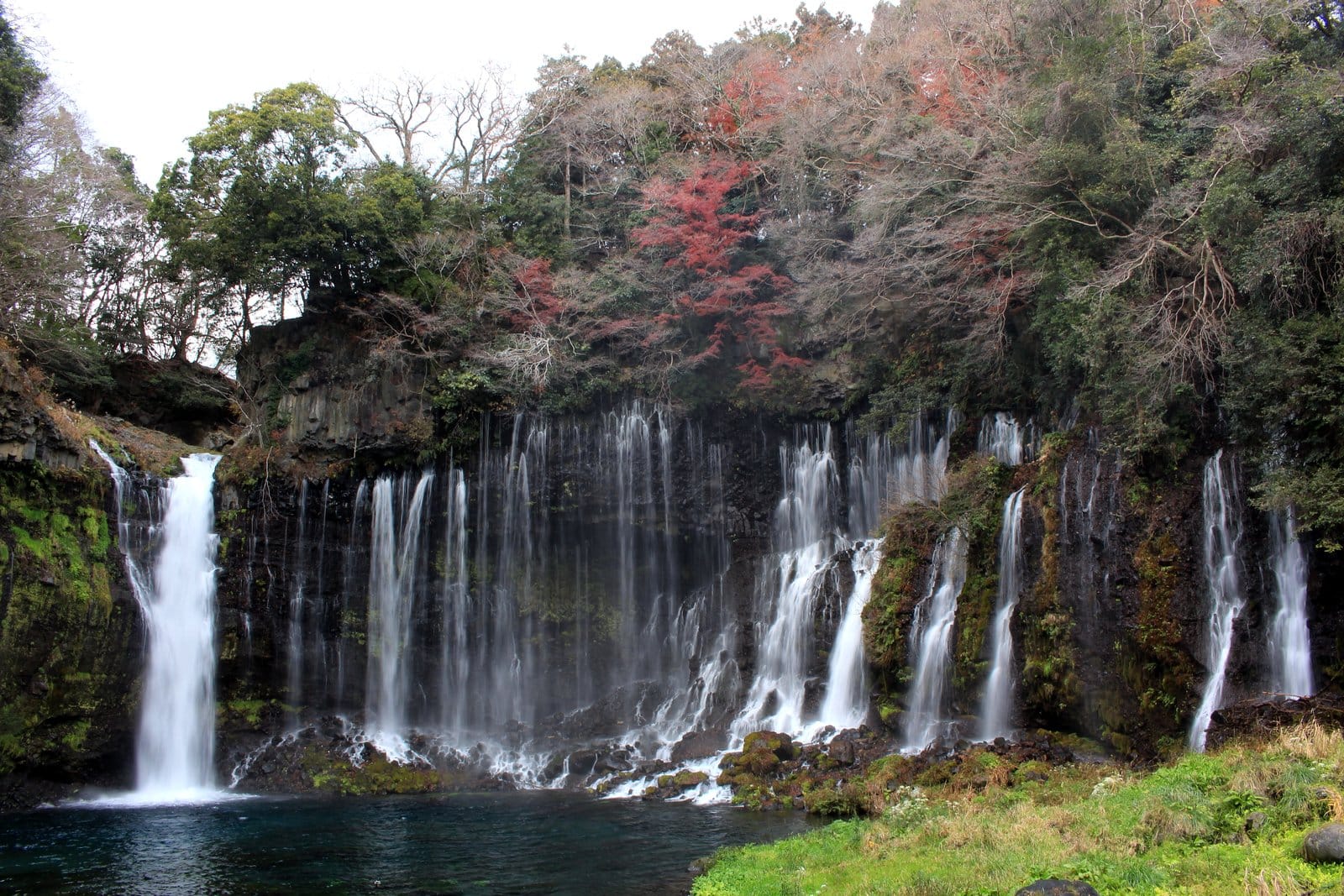 Makaino Farm & Mt Fuji Foothills Day Tour