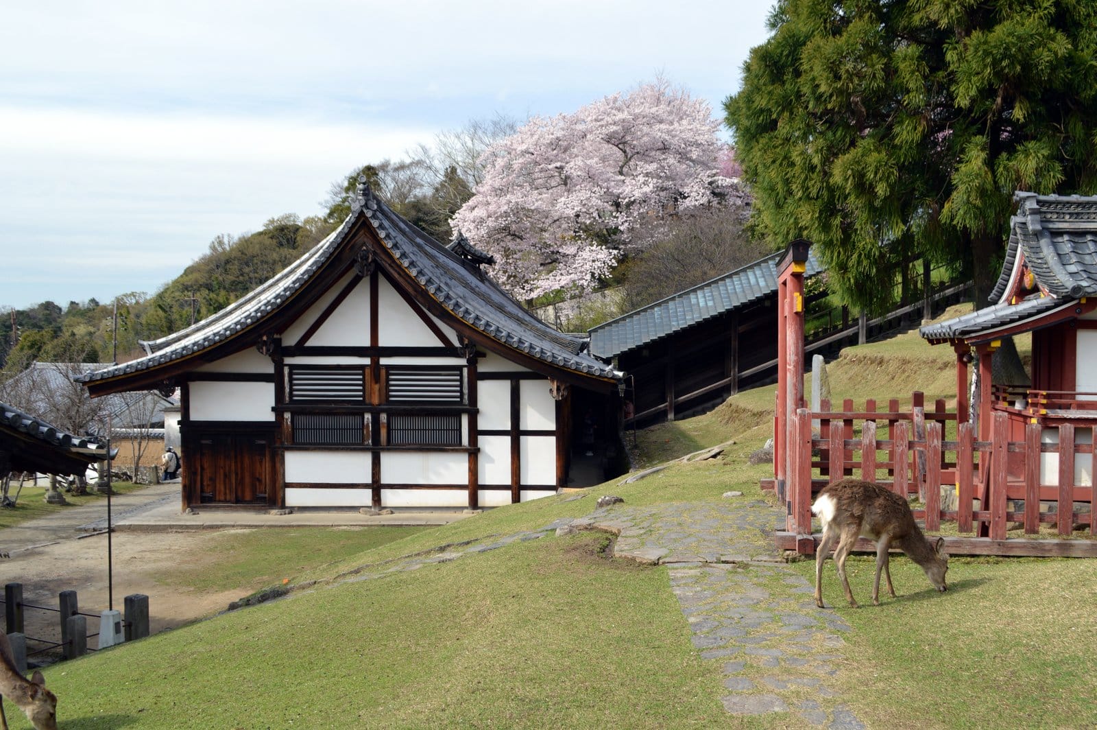 Kinkaku-ji, Arashiyama, Fushimi Inari & Nara Day Tour from Osaka or Kyoto
