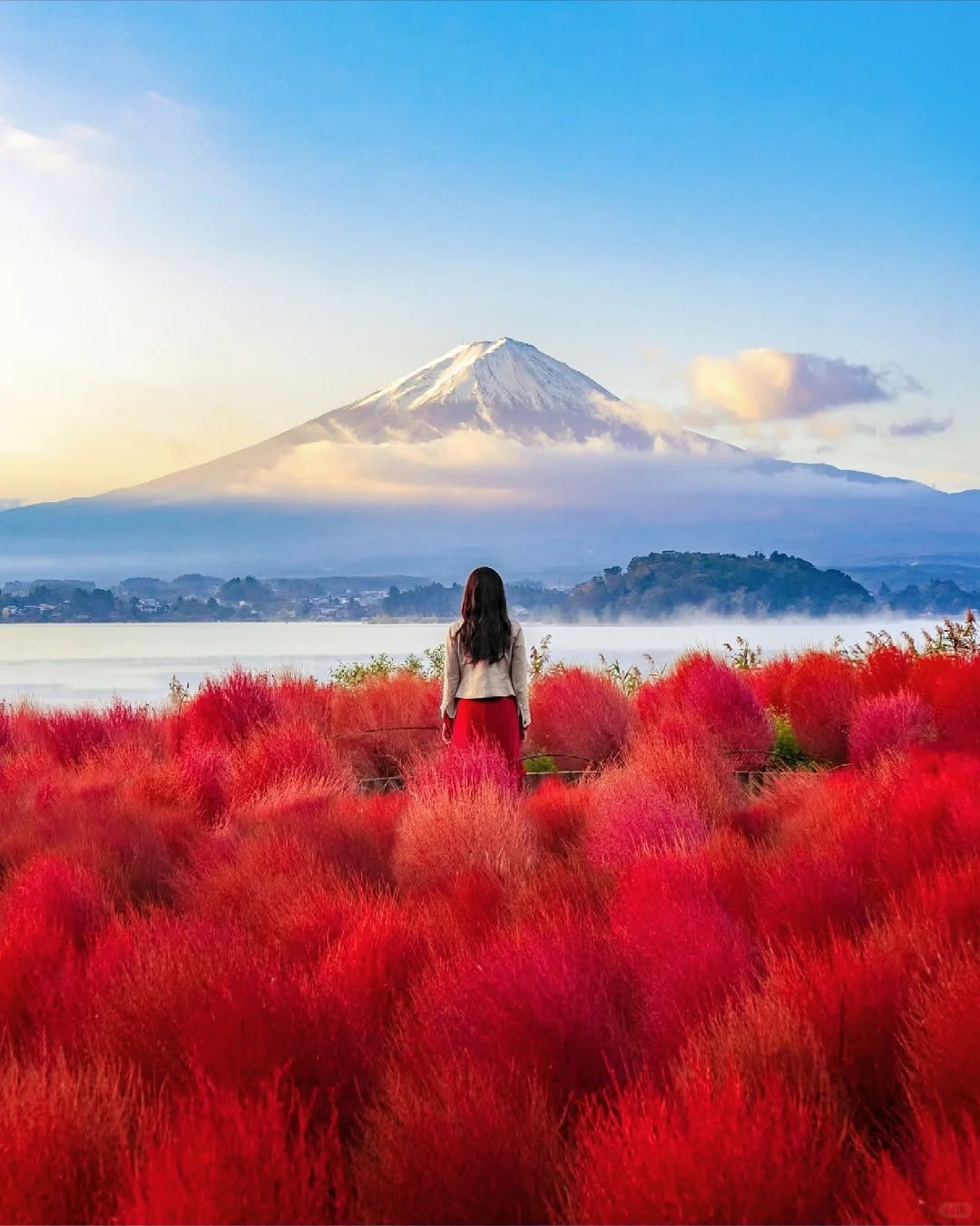 Mt. Fuji & Lake Kawaguchiko Autumn Day Tour — Oishi Park, Lakeside, Momiji Corridor — OlaChill day tour