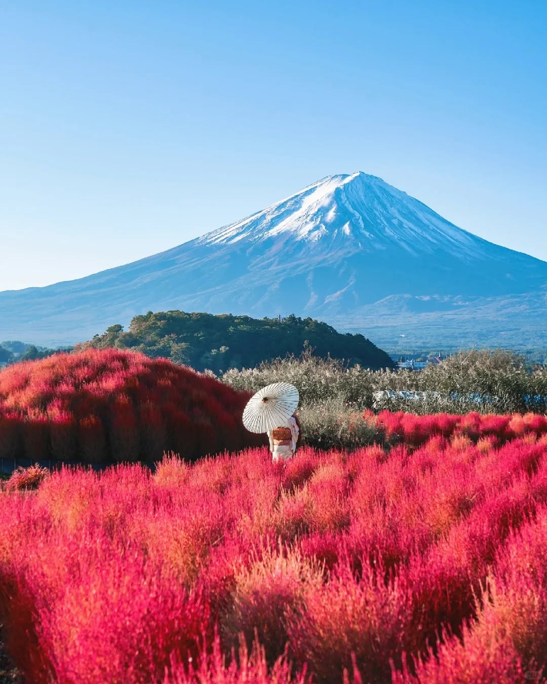 Mt. Fuji & Lake Kawaguchiko Autumn Day Tour — Oishi Park, Lakeside, Momiji Corridor