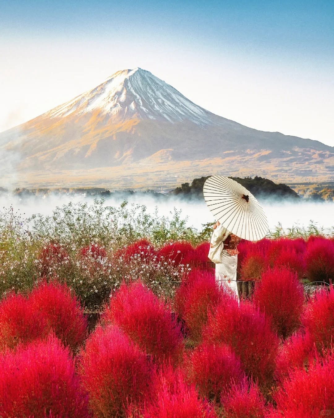 Mt. Fuji & Lake Kawaguchiko Autumn Day Tour — Oishi Park, Lakeside, Momiji Corridor