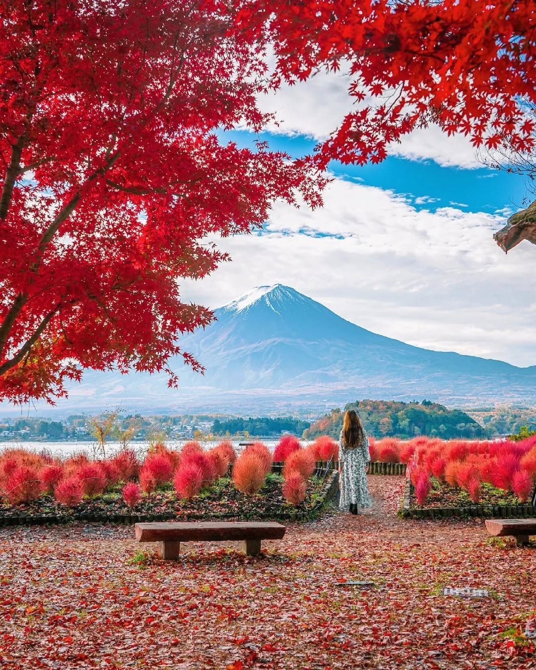 Mt. Fuji & Lake Kawaguchiko Autumn Day Tour — Oishi Park, Lakeside, Momiji Corridor