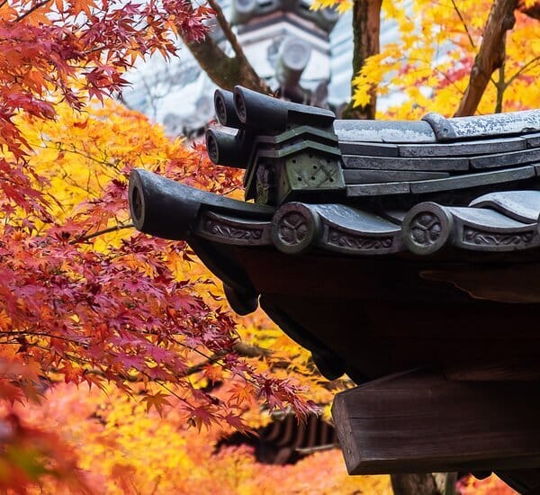 11-Day Japan Autumn Splendor Tour — OlaChill day tour