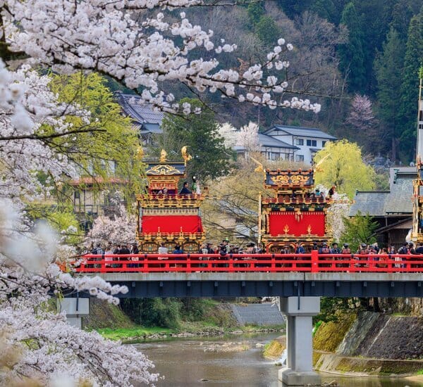 2-Week Japan Spring Family Tour: Blossoms and Festivals — OlaChill day tour