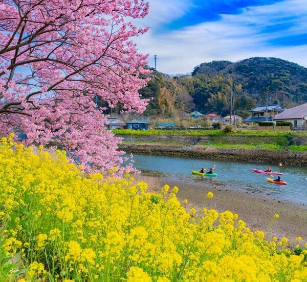 11-Day Japan Early Spring Tour: Blossoms & Coastal Bliss — OlaChill day tour