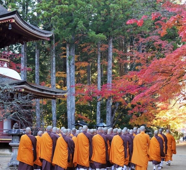 3-Week Grand Japan: History & Spiritual Pilgrimage Walk — OlaChill day tour