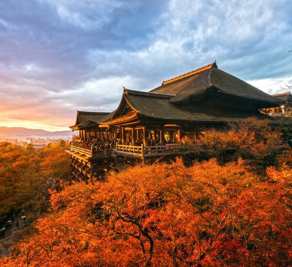 16-Day Japan and China Discovery Tour — OlaChill day tour