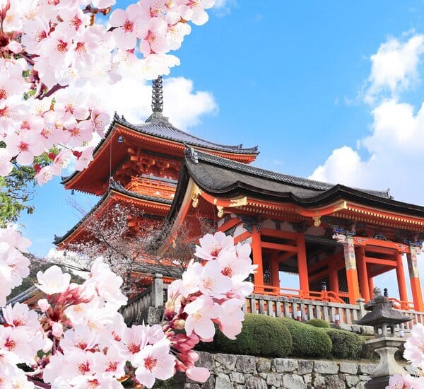 10-Day Charming Japan Cherry Blossom Tour — OlaChill day tour