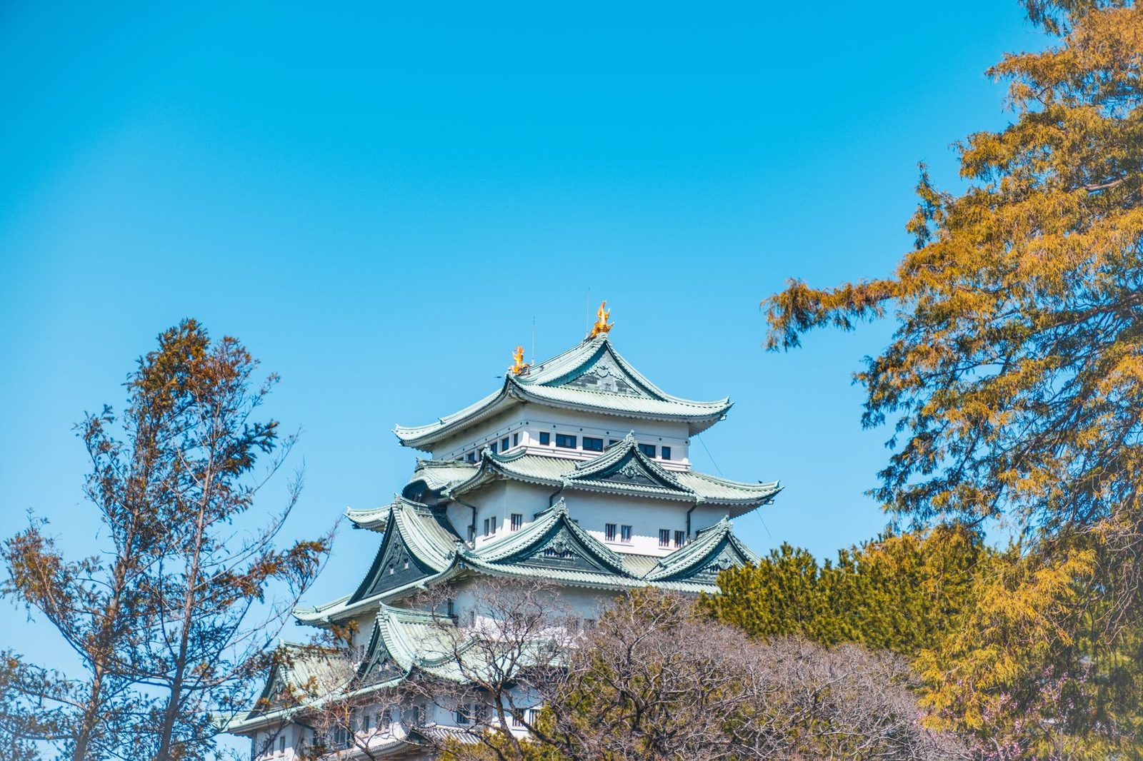 Nagoya Castle and Atsuta Jingu: Private Car Half-Day Before an Evening Session