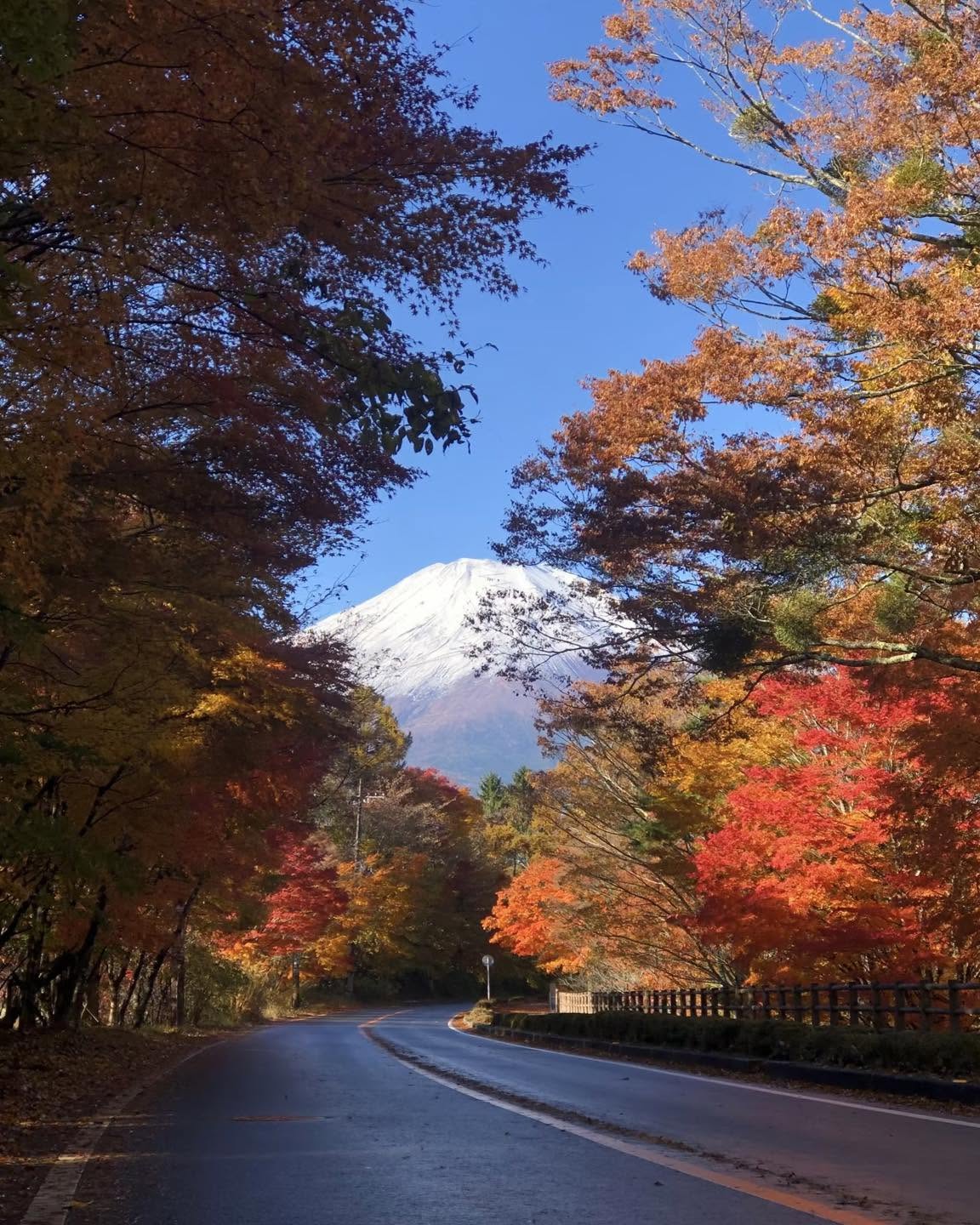 Japan Autumn Leaves Tour: 10 Days from Tokyo to Osaka