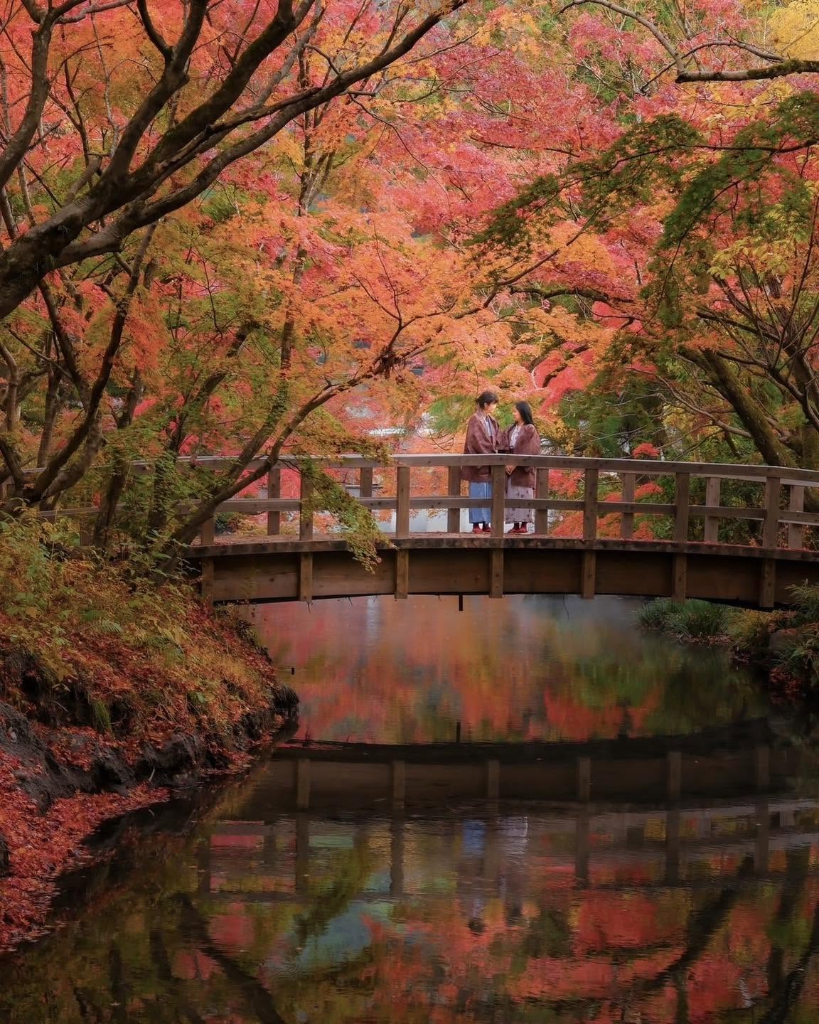 Japan Autumn Leaves Tour: 10 Days from Tokyo to Osaka