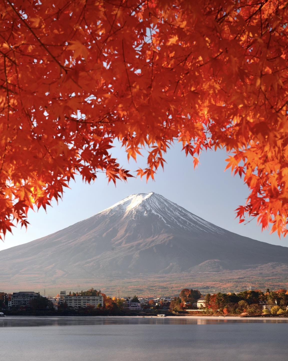 Japan Autumn Leaves Tour: 10 Days from Tokyo to Osaka