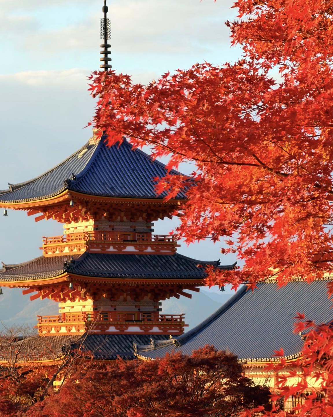 Kyoto Osaka Nara 2-day autumn tour — OlaChill day tour