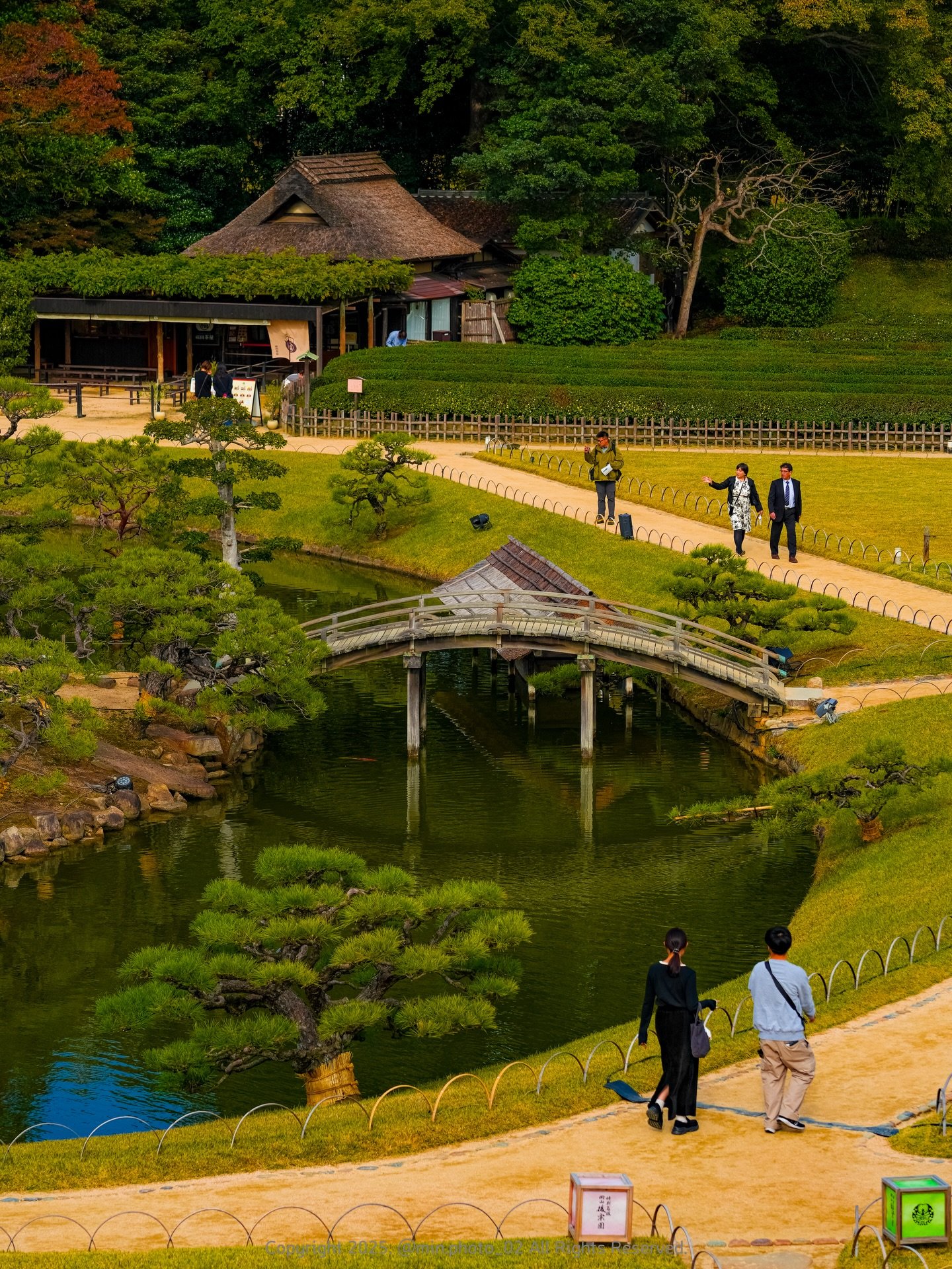 Japan Nature & Art in 12 Days: Osaka, Naoshima, Kyoto to Tokyo