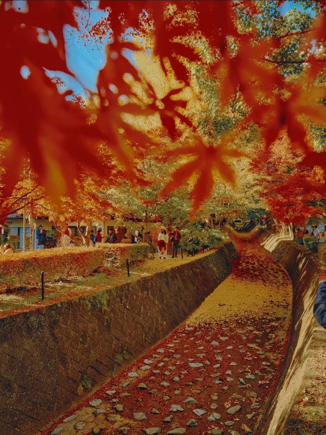 Japan Family Journey: 9 Days from Tokyo to Osaka
