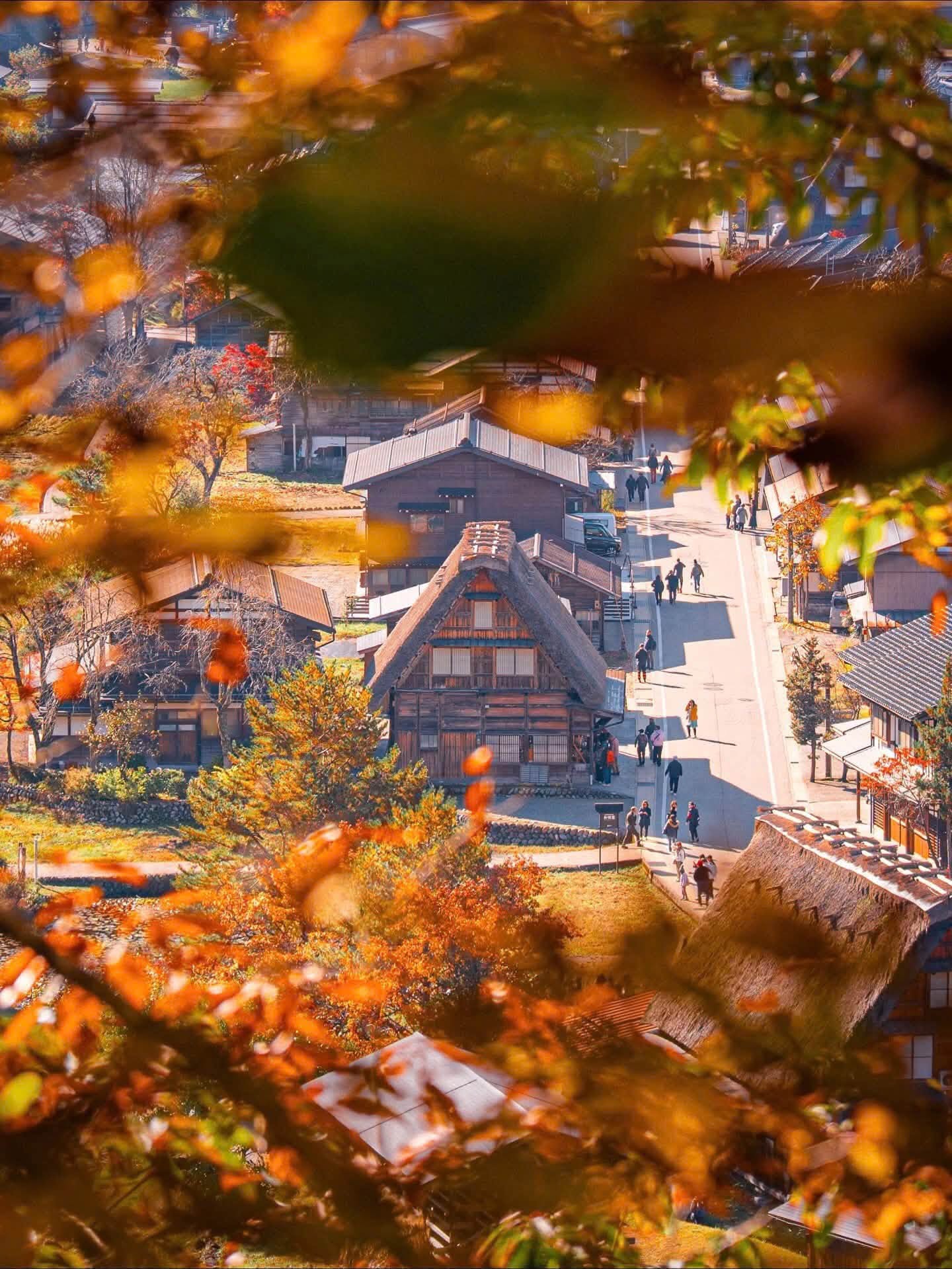 Japanese Alps & Hokuriku 7-Day Tour: Matsumoto, Takayama, Shirakawa-go & Kanazawa