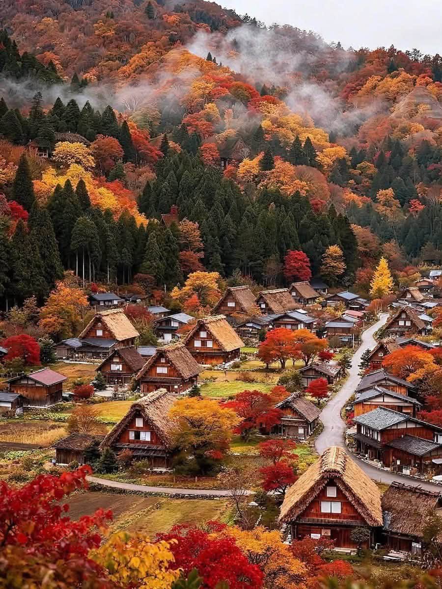 Japan Alps Heritage: 5 Days — Matsumoto, Takayama, Shirakawa-go & Kanazawa — OlaChill day tour