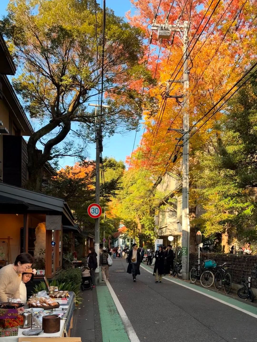 Japan Family Journey: 9 Days from Tokyo to Osaka