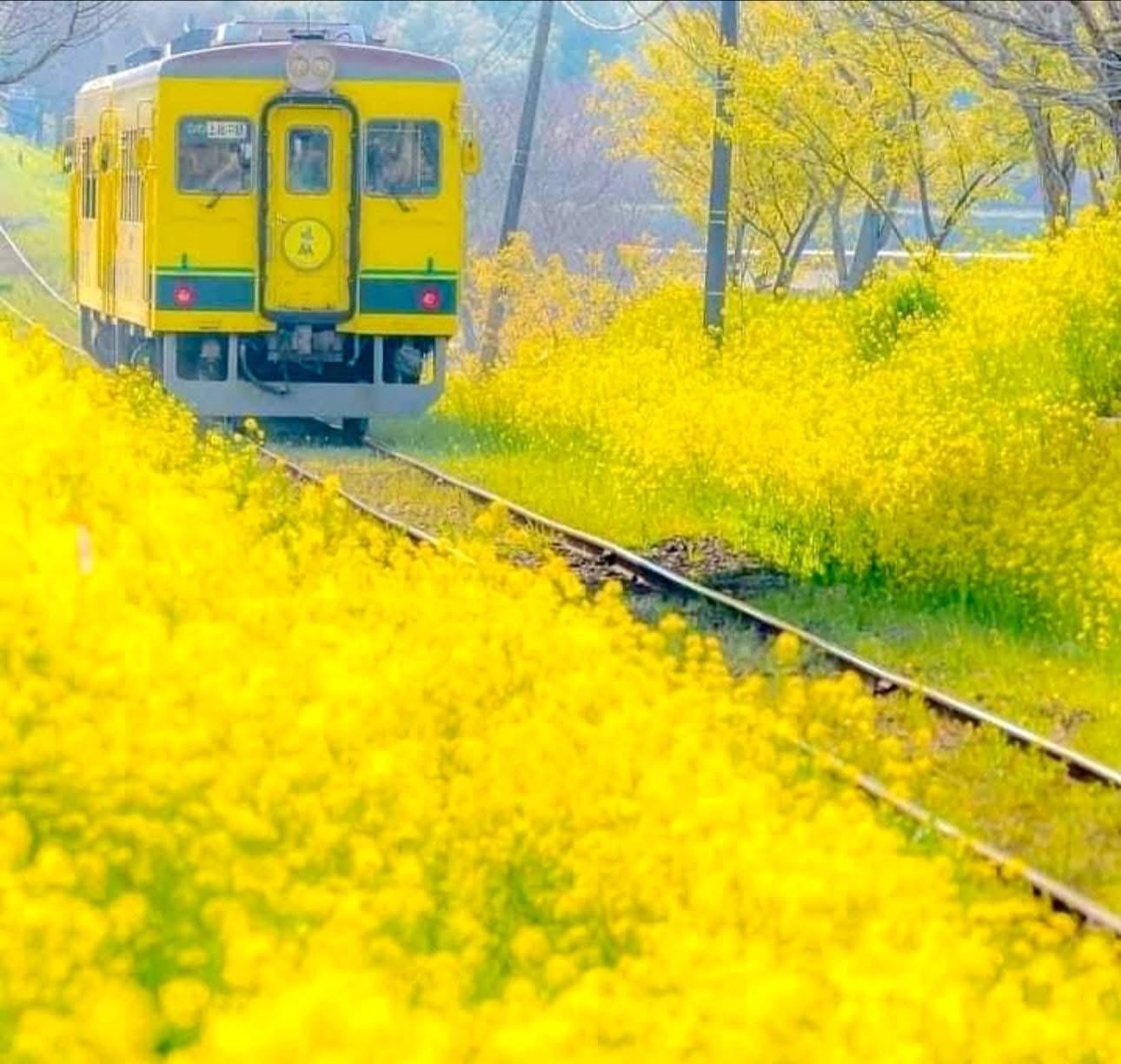 Museo della Sabbia di Tottori, 20ª Mostra Speciale