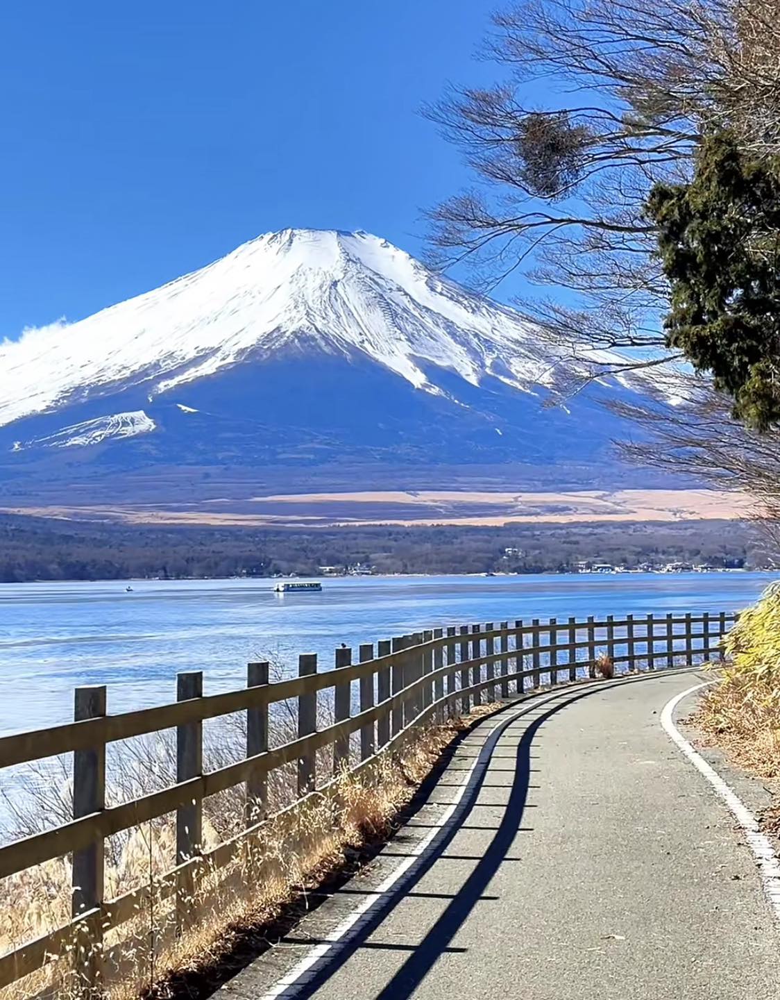 専用バンで行く富士山(Mt Fuji)日帰り旅行:湖、絶景、五合目